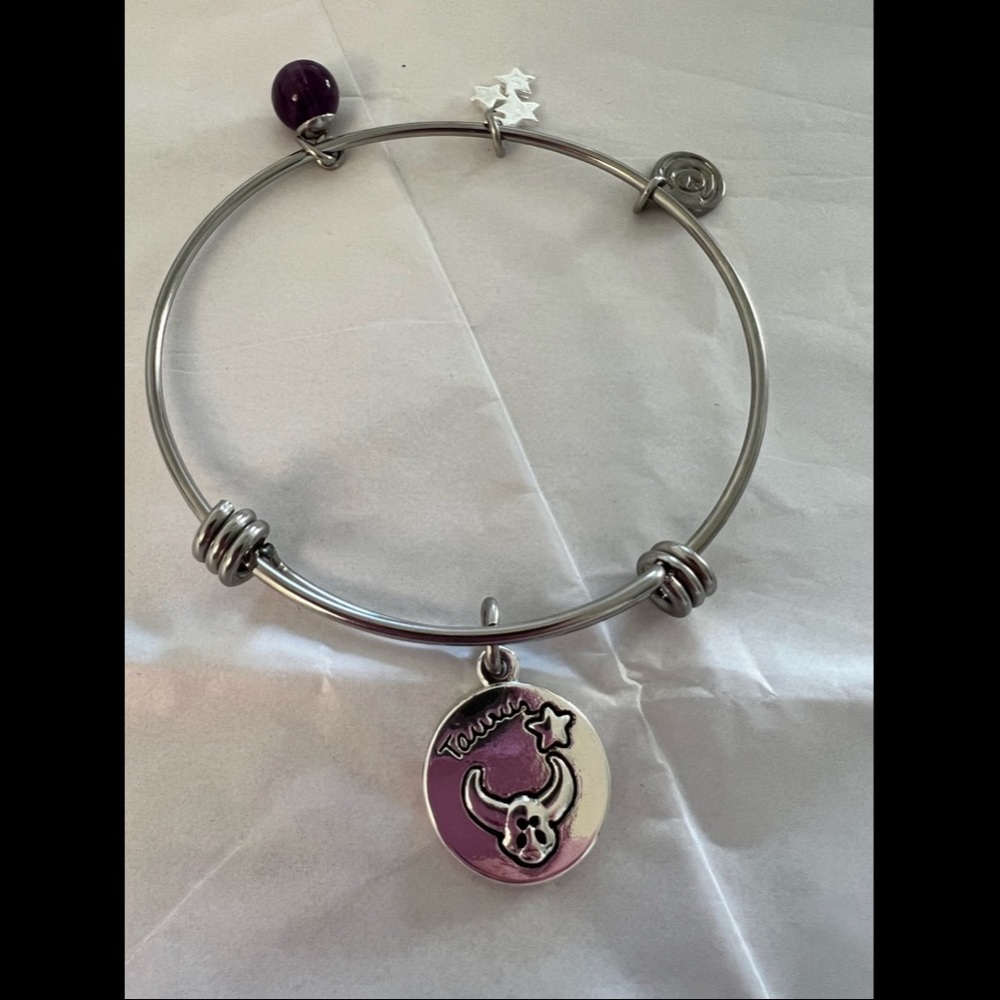 Taurus the bill charm bracelet. 4 total charms.